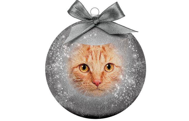 Plenty Gifts Bauble Xmas Frosted Red Cat Eyes