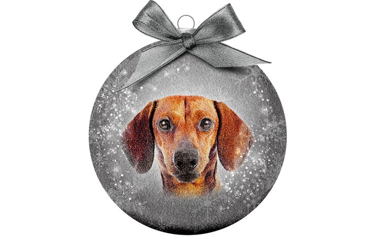 Plenty Gifts Bauble Xmas Frosted Dachshund