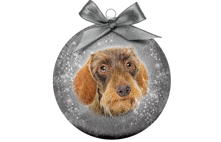 Plenty Gifts Bauble Xmas Frosted Dachshund Wire