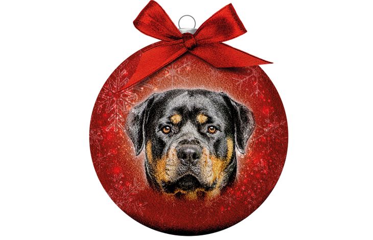 Plenty Gifts Bauble Xmas Frosted Rottweiler
