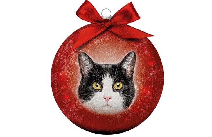 Plenty Gifts Bauble Xmas Frosted Cat Black&White