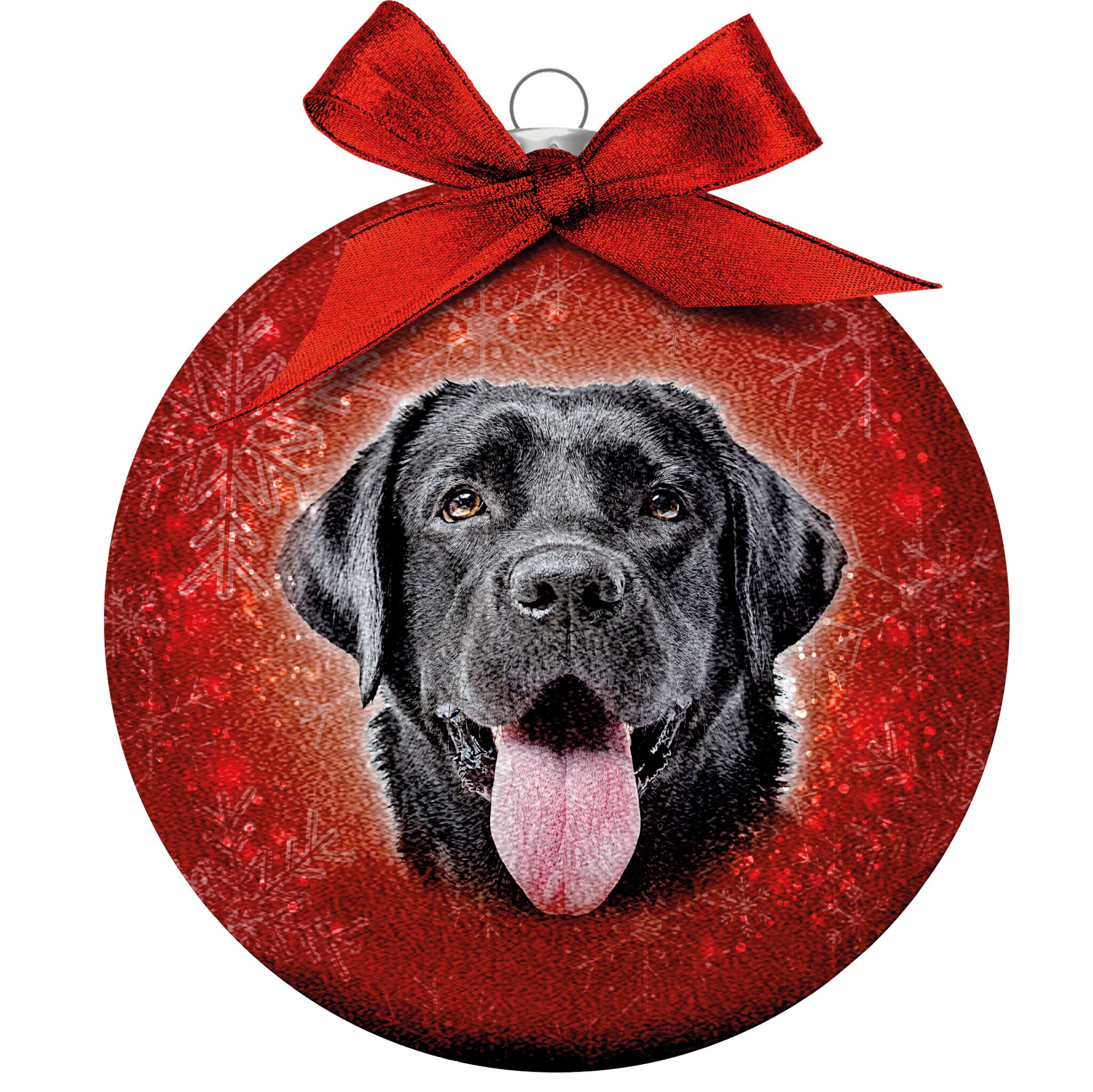 Plenty Gifts Bauble Xmas Frosted Labrador