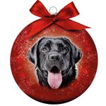 Bauble Xmas Frosted Labrador