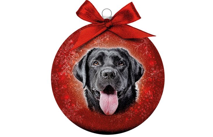 Plenty Gifts Bauble Xmas Frosted Labrador