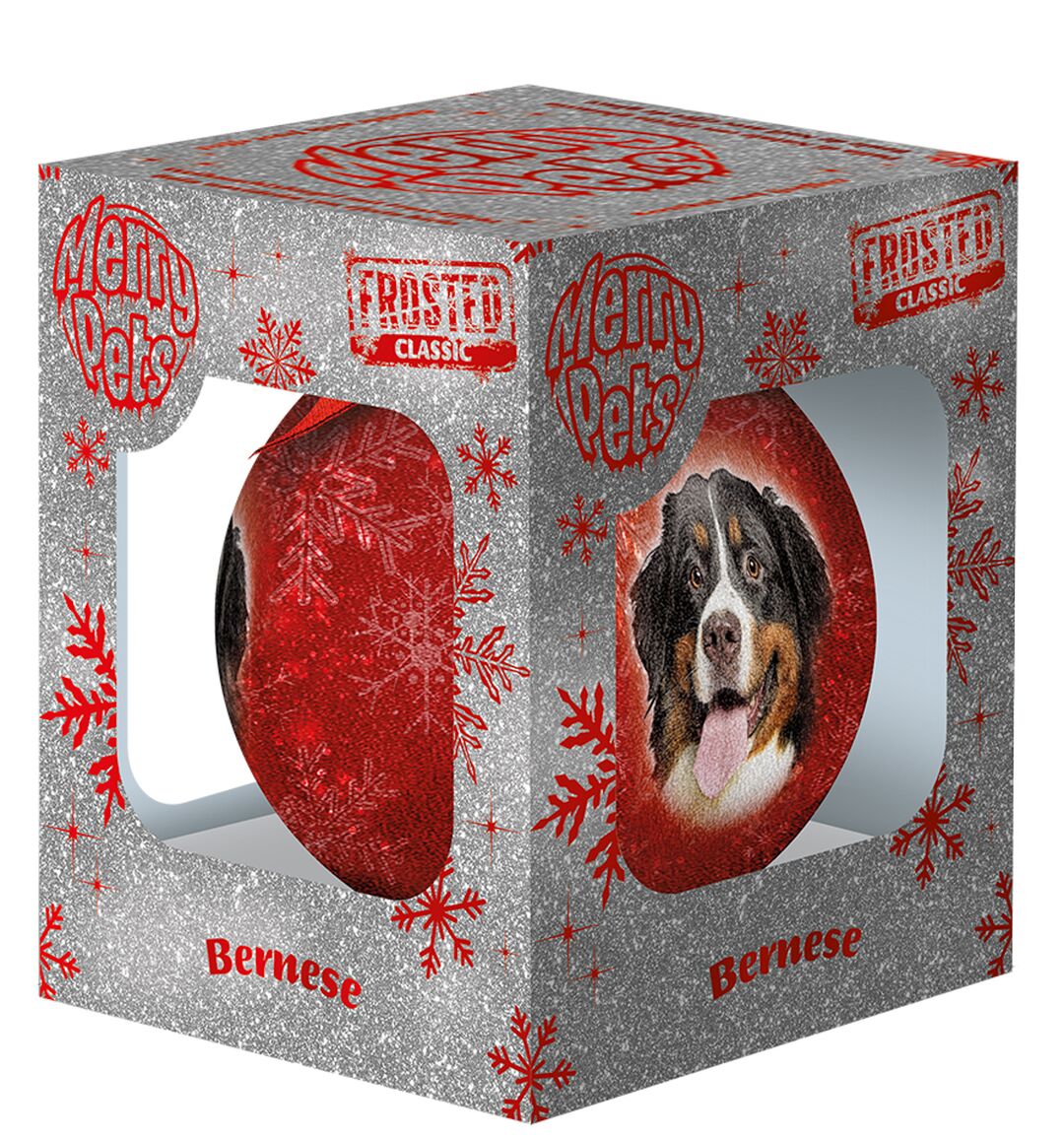 Plenty Gifts Bauble Xmas Frosted Bernese