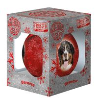 Plenty Gifts Bauble Xmas Frosted Bernese