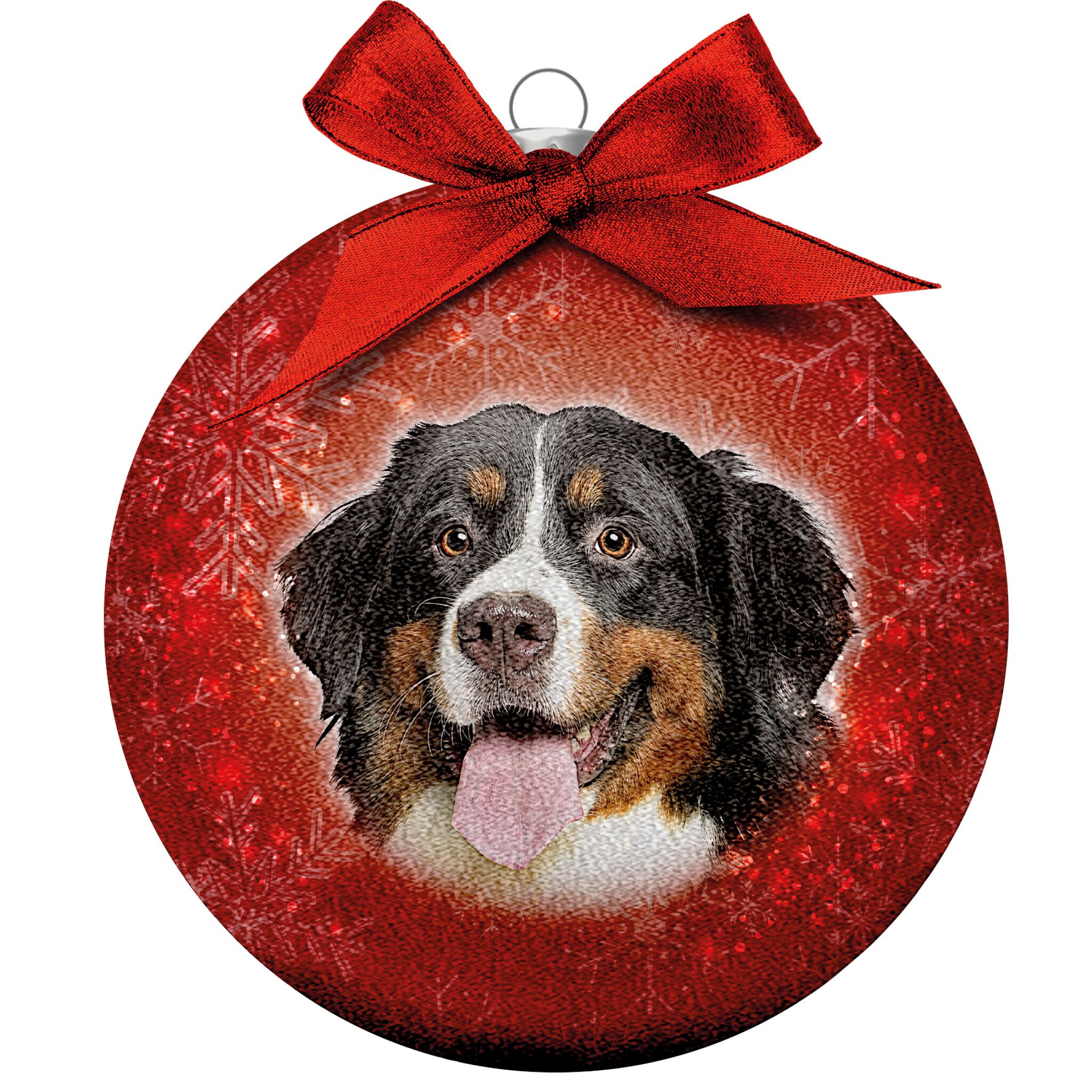 Plenty Gifts Bauble Xmas Frosted Bernese