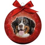 Bauble Xmas Frosted Bernese