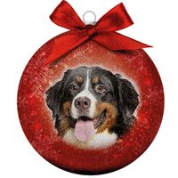 Plenty Gifts Bauble Xmas Frosted Bernese