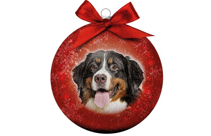 Plenty Gifts Bauble Xmas Frosted Bernese