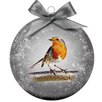 Plenty Gifts Bauble Xmas Frosted Robin