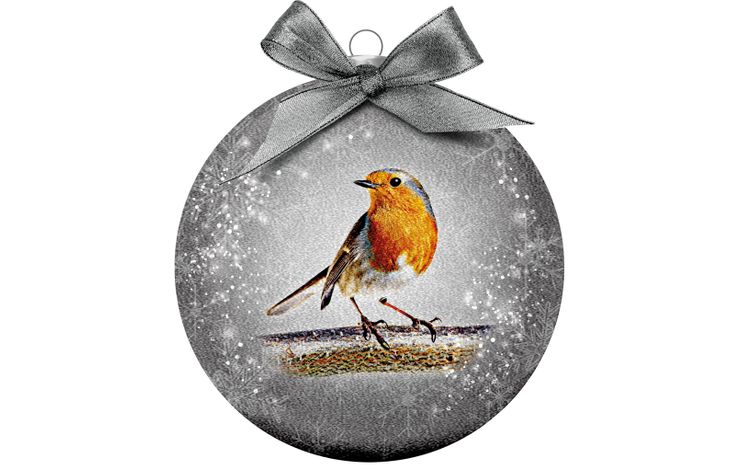 Plenty Gifts Bauble Xmas Frosted Robin