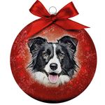 Bauble Xmas Frosted Bordercollie