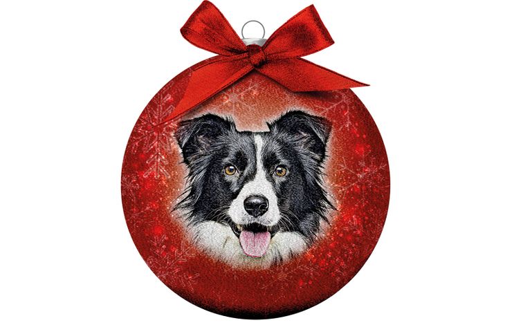 Plenty Gifts Bauble Xmas Frosted Bordercollie