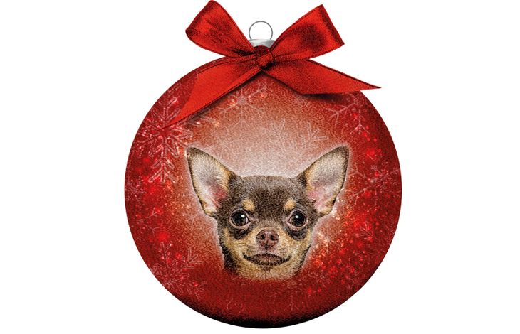 Plenty Gifts Bauble Xmas Frosted Chihuahua
