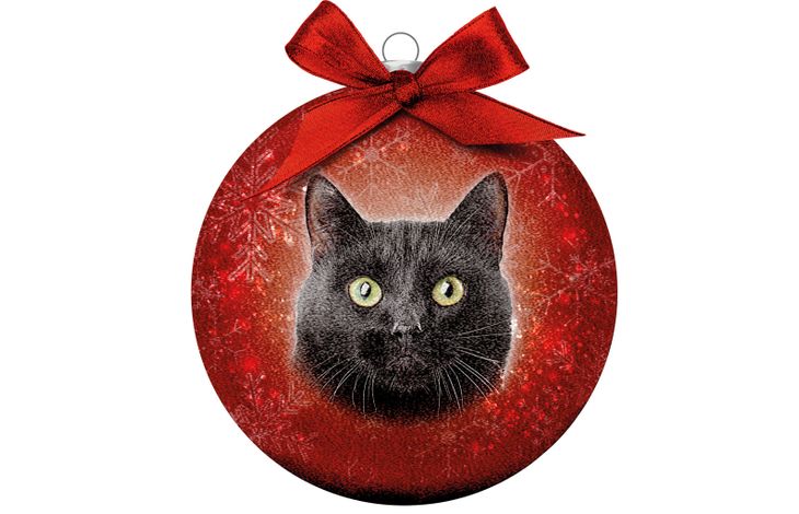 Plenty Gifts Bauble Xmas Frosted Cat Black