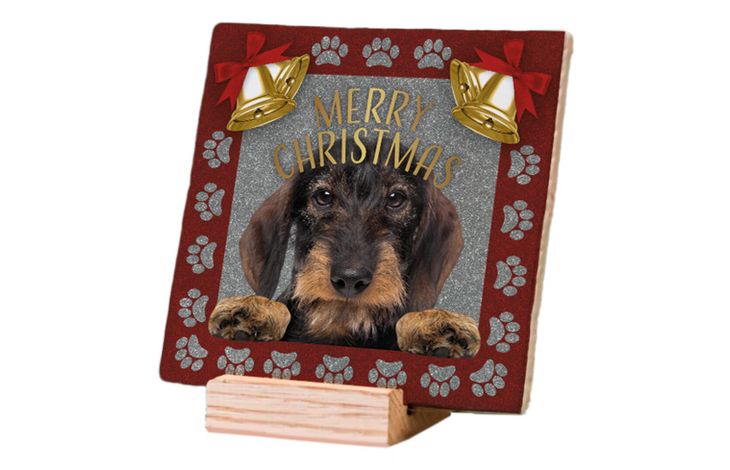 Plenty Gifts Deco Tile Xmas Dachshund Wire