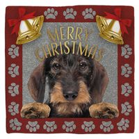 Plenty Gifts Deco Tile Xmas Dachshund Wire
