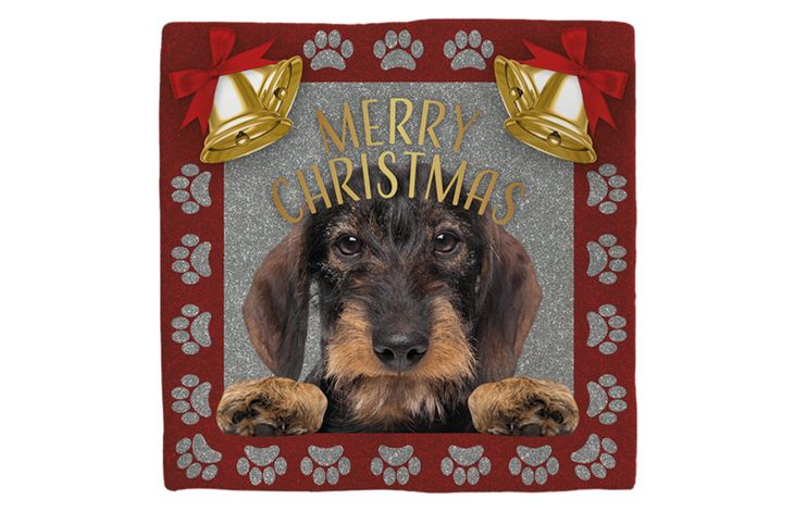Plenty Gifts Deco Tile Xmas Dachshund Wire