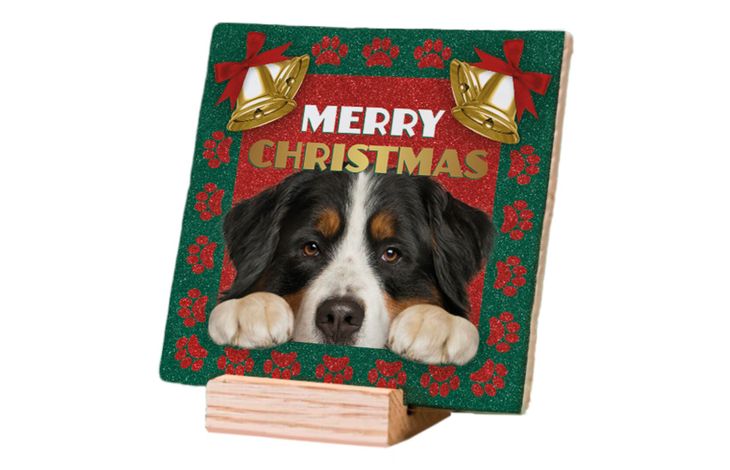 Plenty Gifts Deco Tile Xmas Bernese