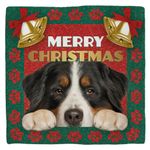 Deco Tile Xmas Bernese