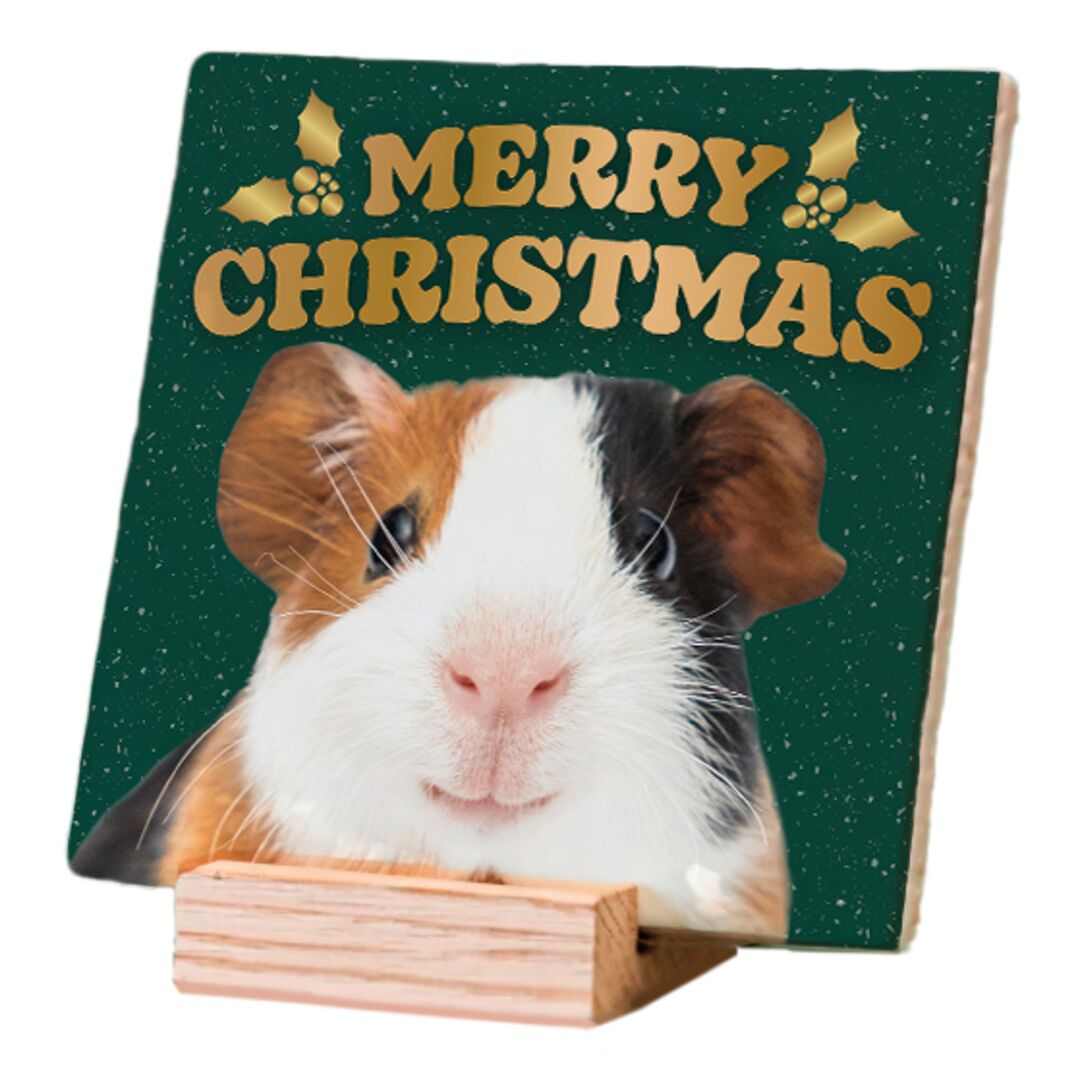 Plenty Gifts Deco Tile Xmas Guinea Pig