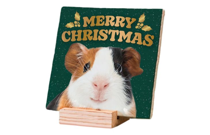 Plenty Gifts Deco Tile Xmas Guinea Pig