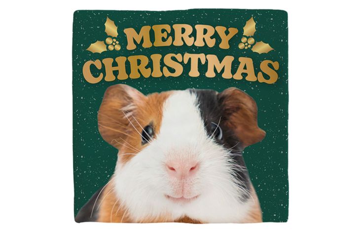 Plenty Gifts Deco Tile Xmas Guinea Pig