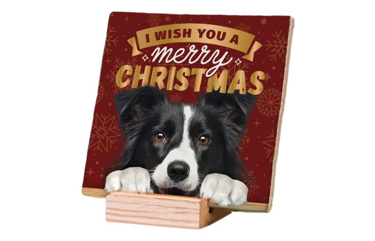 Plenty Gifts Deco Tile Xmas Border Collie