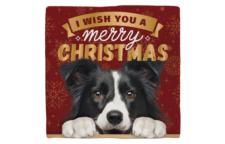 Plenty Gifts Deco Tile Xmas Border Collie