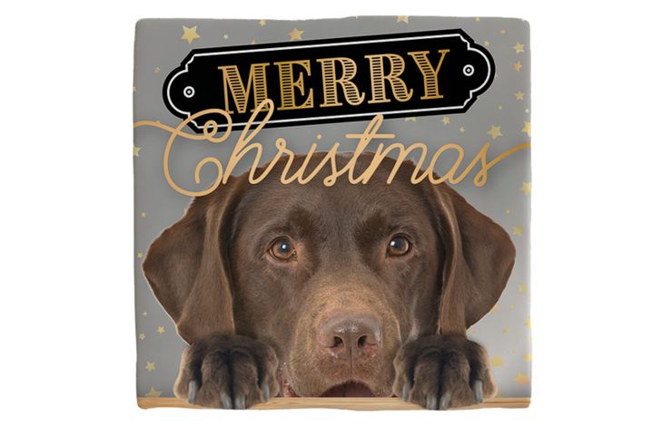 Plenty Gifts Deco Tile Xmas Labrador