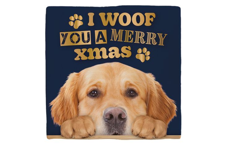 Plenty Gifts Deco Tile Xmas Golden Retriever
