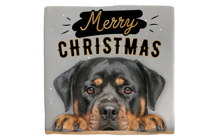 Plenty Gifts Deco Tile Xmas Rottweiler