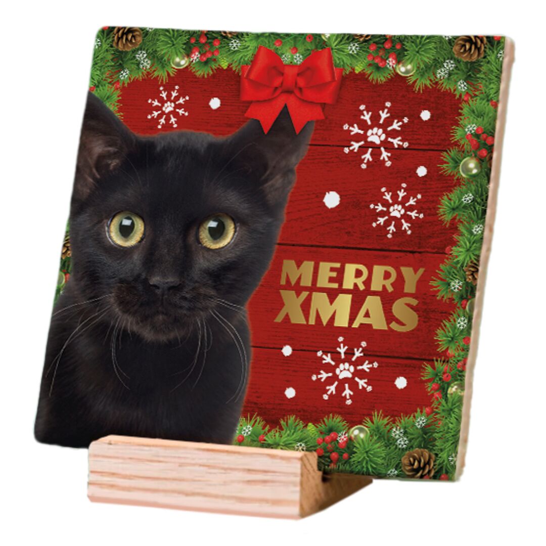 Plenty Gifts Deco Tile Xmas Cat Black
