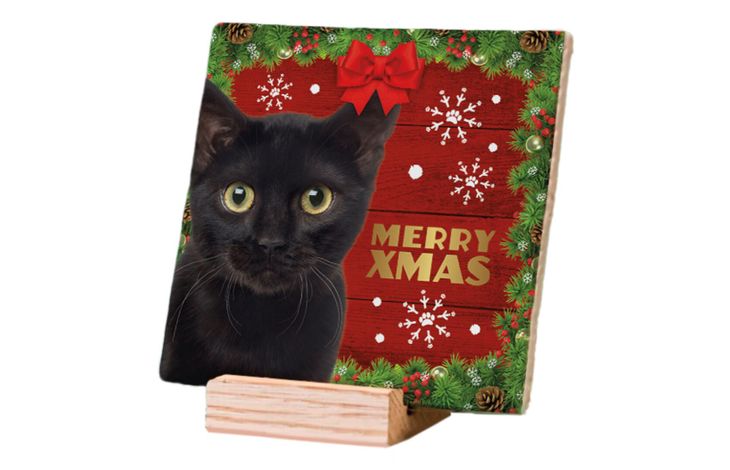 Plenty Gifts Deco Tile Xmas Cat Black