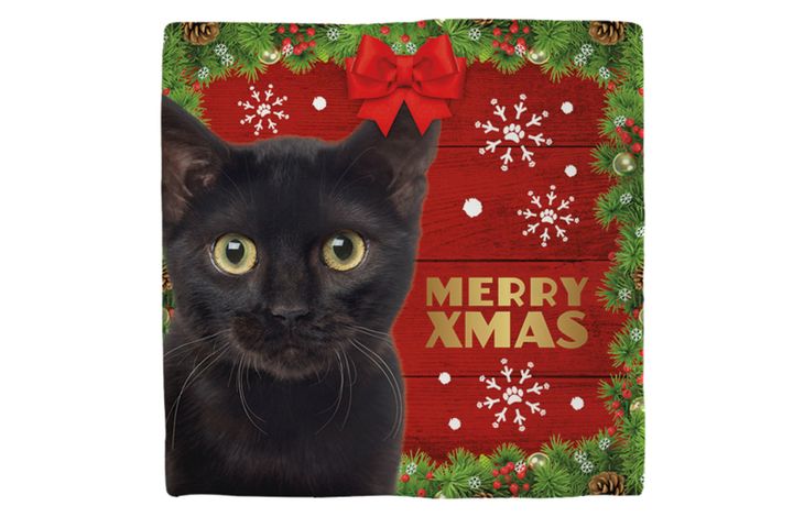 Plenty Gifts Deco Tile Xmas Cat Black