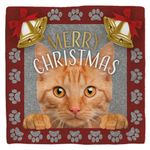 Deco Tile Xmas Cat Red