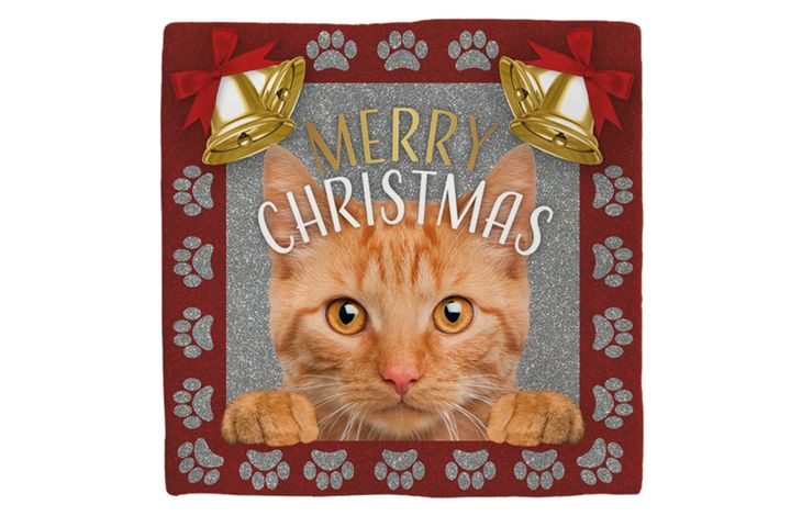 Plenty Gifts Deco Tile Xmas Cat Red