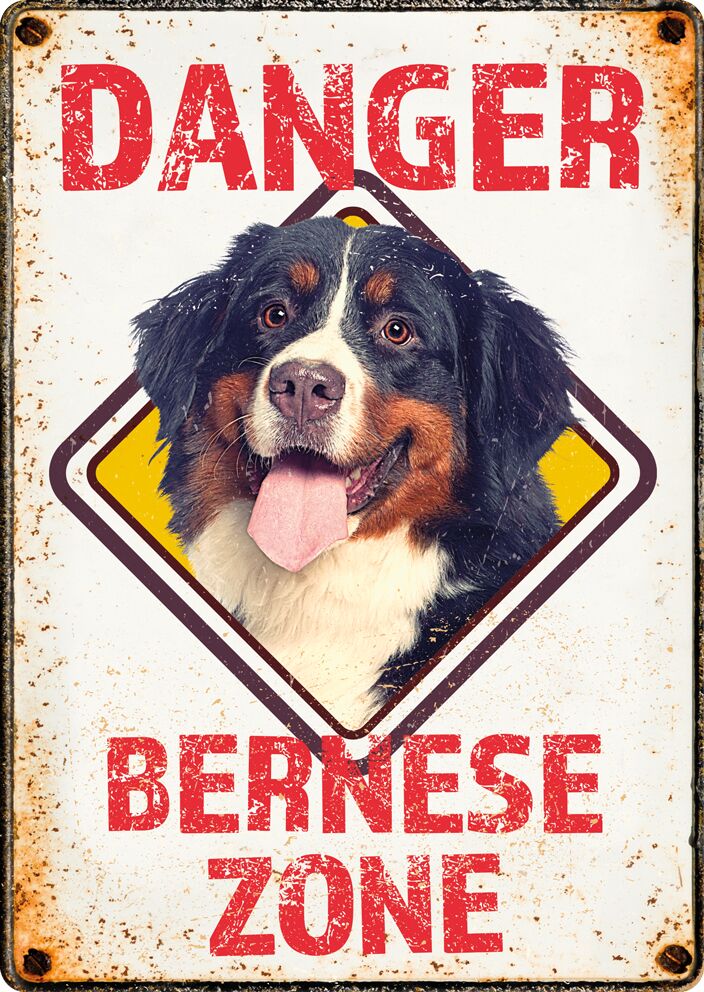 Plenty Gifts Bord blik Danger Bernese Zone (v)
