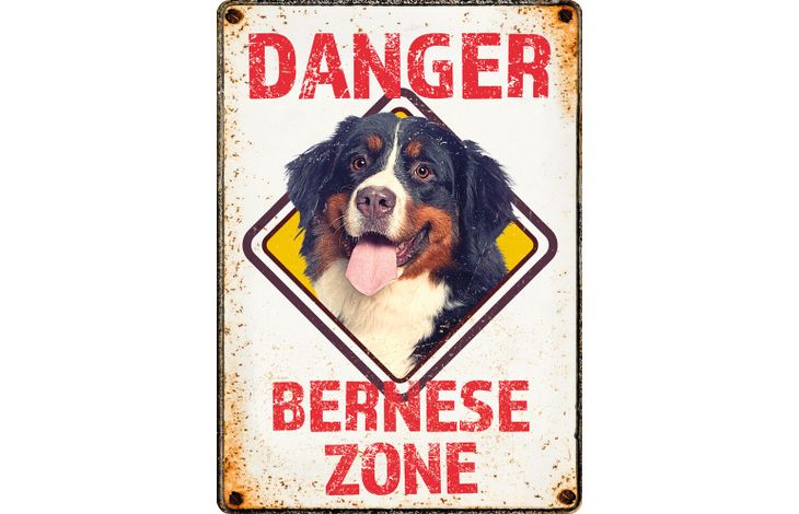 Plenty Gifts Bord blik Danger Bernese Zone (v)