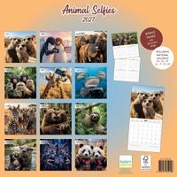 Plenty Gifts Kalender 27 Animal Selfies pg