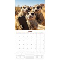 Plenty Gifts Kalender 27 Animal Selfies pg