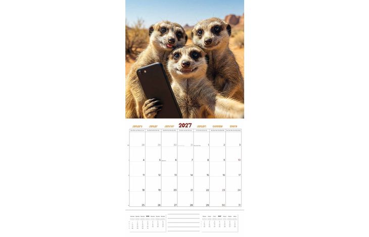 Plenty Gifts Kalender 27 Animal Selfies pg