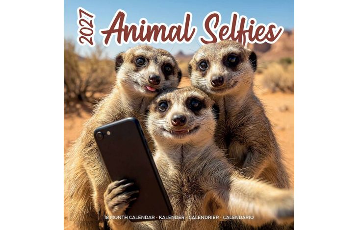 Plenty Gifts Kalender 27 Animal Selfies pg