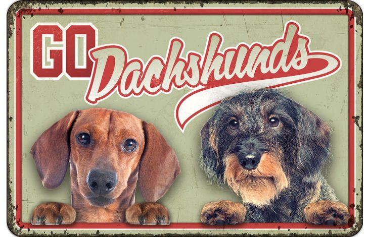 Plenty Gifts Bord blik A4 Go Dachshunds (h)
