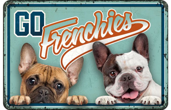 Plenty Gifts Bord blik A4 Go Frenchies (h)