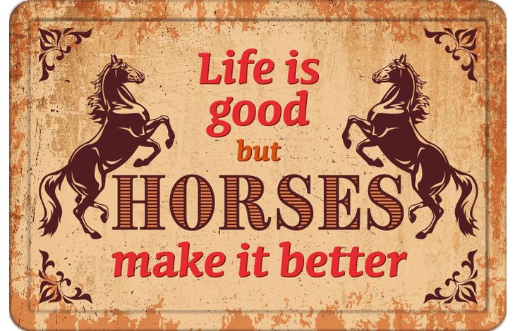 Plenty Gifts Bord blik A4 Horses Make Better (h)