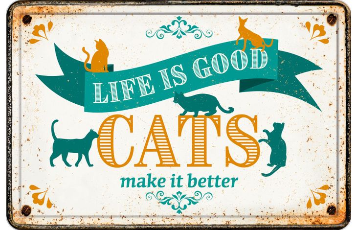 Plenty Gifts Bord blik A4 Cats Make Better (h)