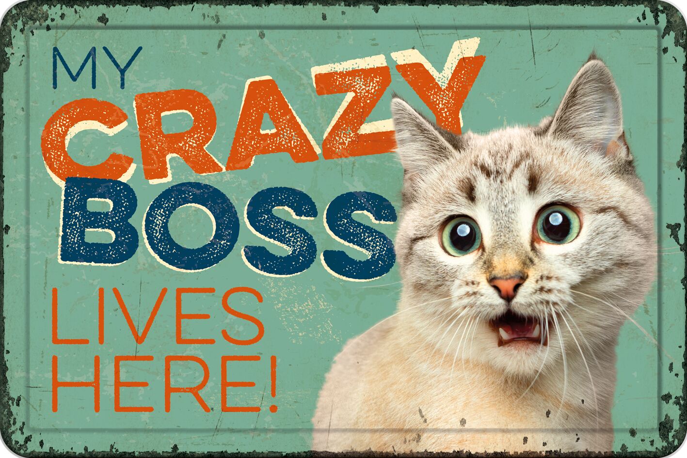 Plenty Gifts Bord blik A4 My Crazy Boss (h)