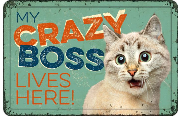 Plenty Gifts Bord blik A4 My Crazy Boss (h)